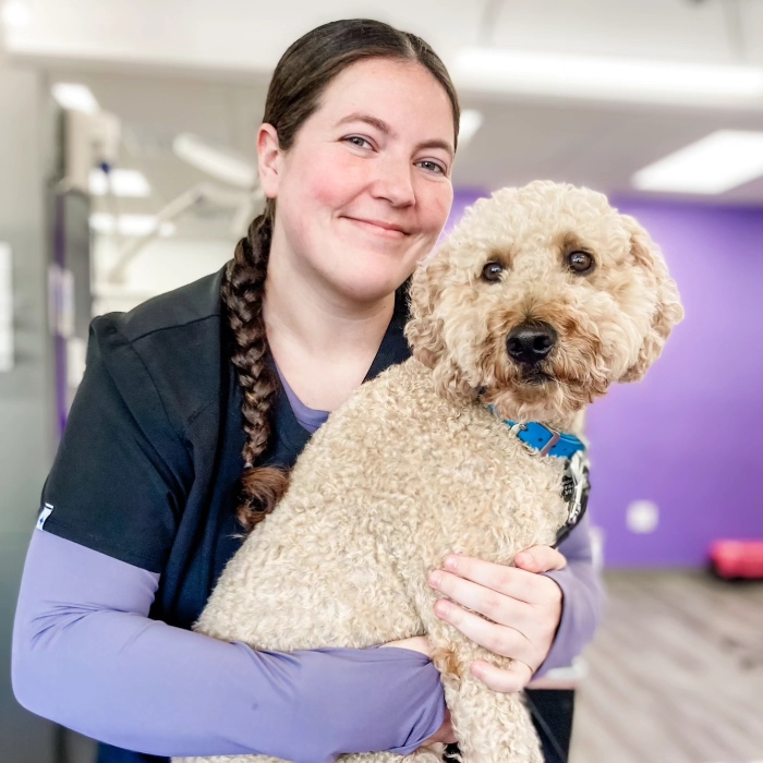 A vet staff holding a dog