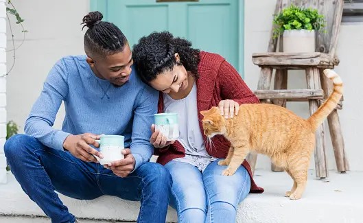 A man and a woman petting a cat