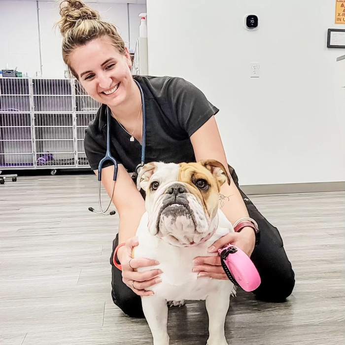 Veterinary staff smiling and kneeling beside a bulldog