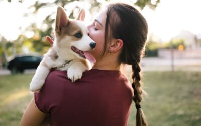 Understanding and Managing Canine Parvovirus (CPV): Symptoms, Treatment, and Prevention