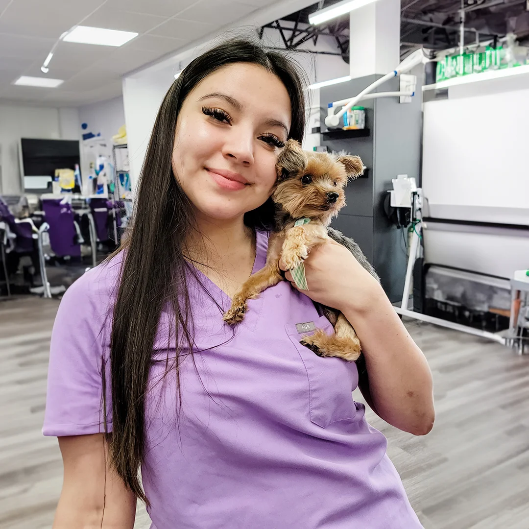 Veterinary technician holding a small dog