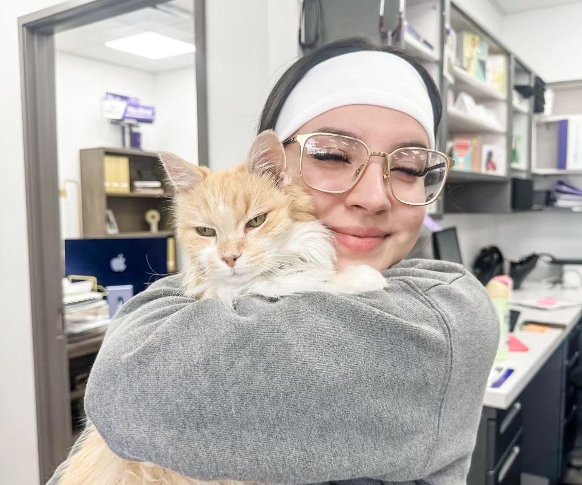 A vet staff affectionately hugging a cat