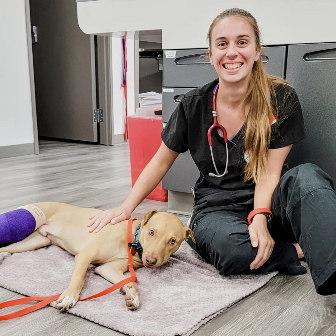 A dog with cast on its leg and vet staff sitting next to it